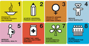 The eight millenium development goals